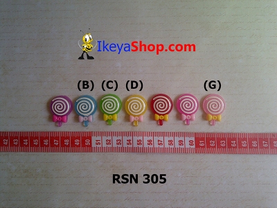 rsn 305  large2